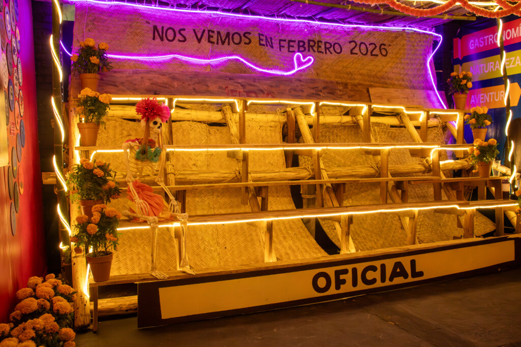 IMG_1570-1024x683 Feria de todos los santos: retratando cultura y tradiciones 2025