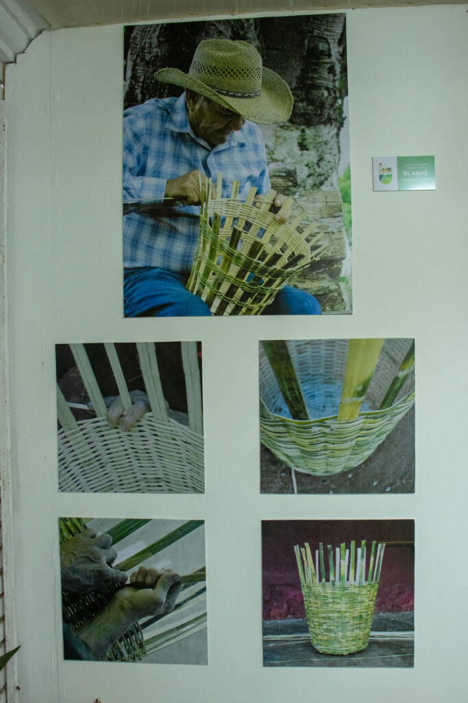 IMG_1596-2-683x1024 Feria de todos los santos: retratando cultura y tradiciones 2025