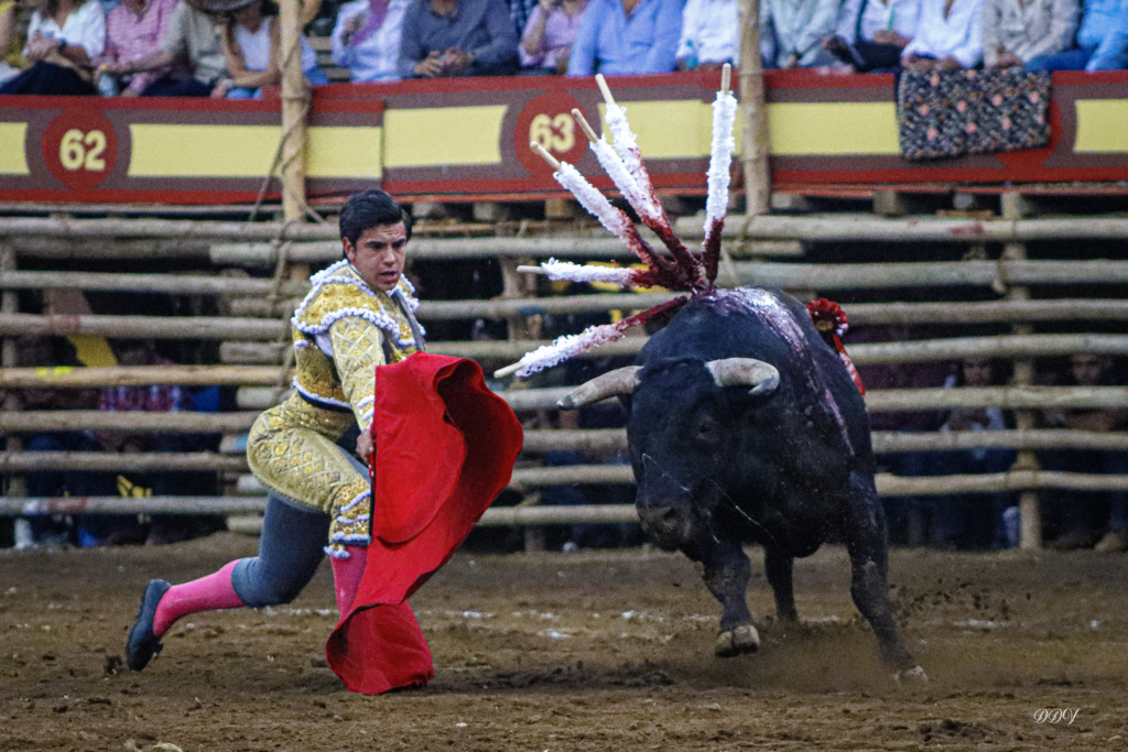CORRIDA-11-1-1024x683 Tarde de arte y bravura en La Petatera