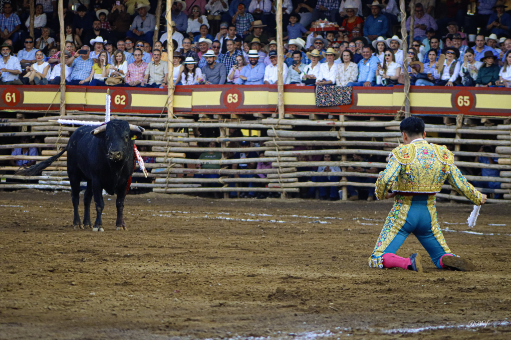 CORRIDA-31-1024x683 Tarde de arte y bravura en La Petatera