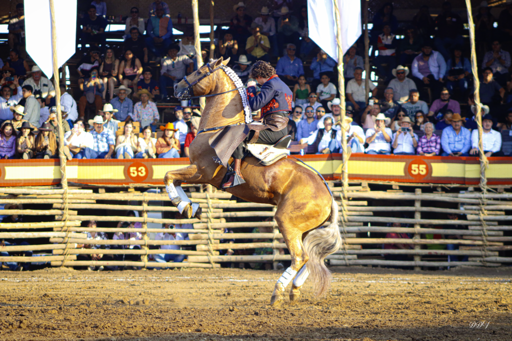 CORRIDA-46-1-1024x683 Tarik Othón: “Me quedo con la decisión del público”